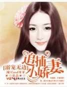 寵溺無邊,追捕小嬌妻