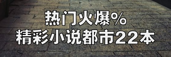 热门火爆的精彩小说都市22本