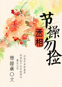 丞相，节操勿捡