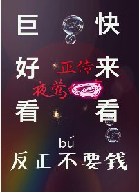 夜莺正传（原名夜莺纪事）