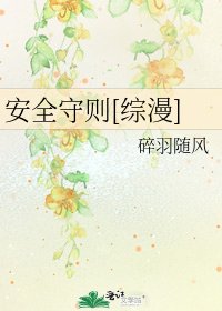 安全守则[综漫]