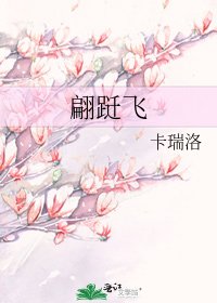 翩跹飞