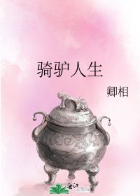 骑驴人生