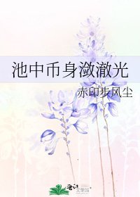 池中币身潋澈光