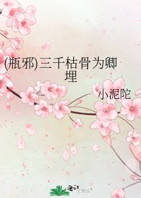 (瓶邪)三千枯骨为卿埋