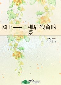 网王——子弹后残留的爱