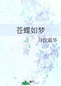 苍蝶如梦