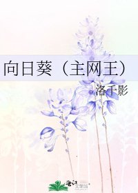 向日葵（主网王）