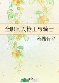 全职同人枪王与骑士