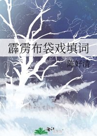 霹雳布袋戏填词